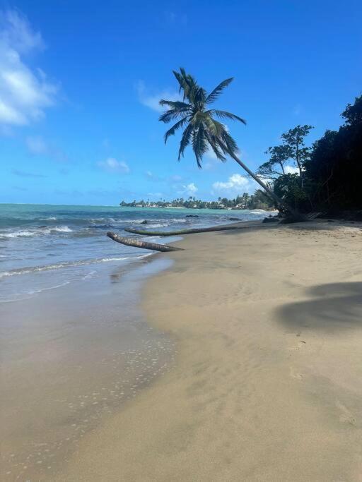 3Bedrm Beach Penthouse With Rooftop Terrace & Wifi Rio Grande Exterior photo